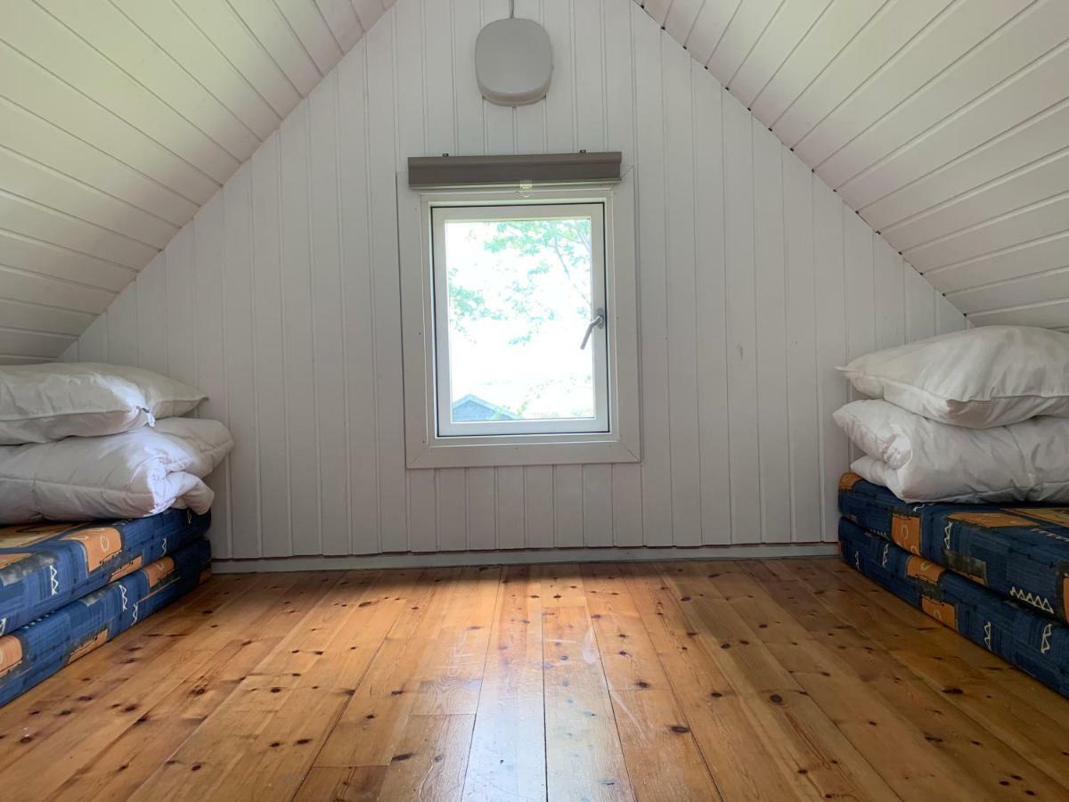 Tangloppen Camping & Cottages Ishøj Екстериор снимка
